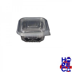 Caserole Plastic Transparente 250g
