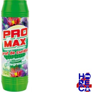 Praf De Curatat Promax 500g